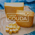 Gouda Cheese Culture