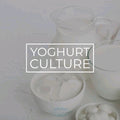 Yoghurt Culture