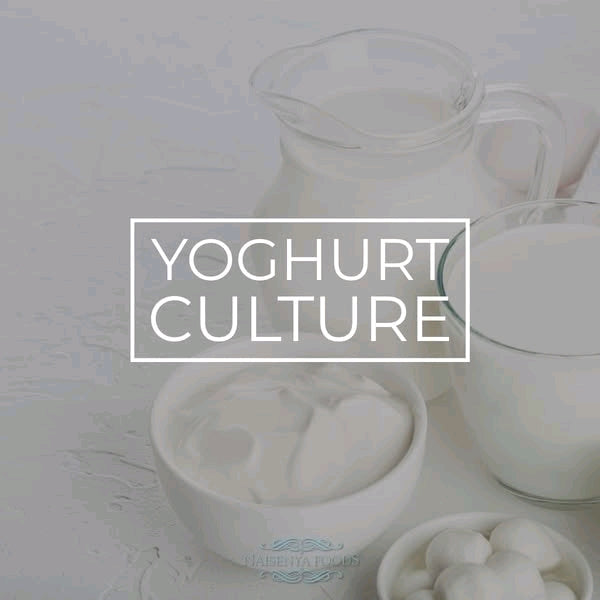 Yoghurt Culture