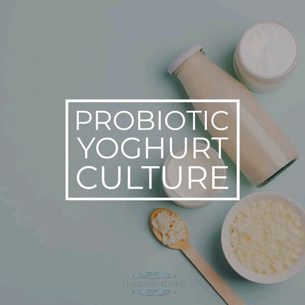 Probiotic Yoghurt Culture